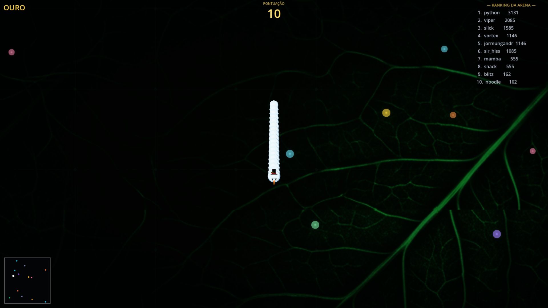 Snowman species moving through the BWORM arena